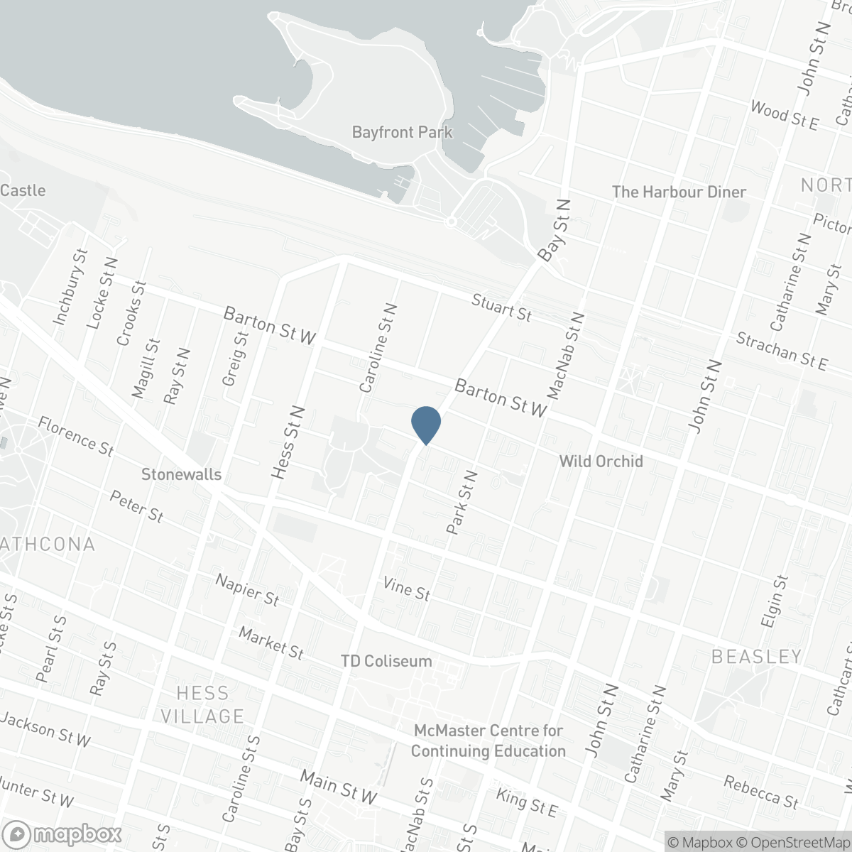 199 BAY Street N, Hamilton, Ontario L8R 2R1